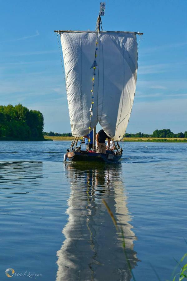 Hotel Les Orkys De Loire Chalonnes-sur-Loire Exteriér fotografie